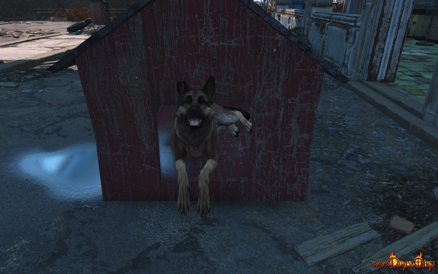 Fallout 4 будка собаки фото 31