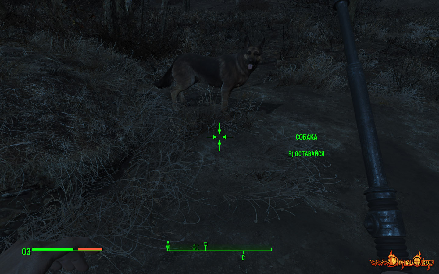 Fallout 4 как оставить пса фото 75