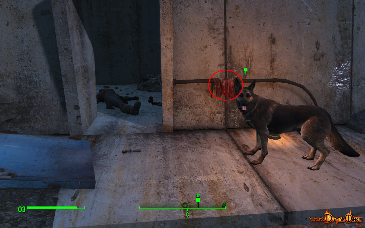Fallout 4 взять собаку фото 117